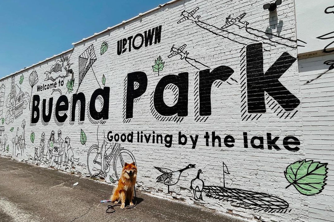 to Buena Park Buena Park Neighbors